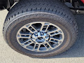 2025 Ford F-250SD Platinum