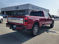 2025 Ford F-250SD Platinum