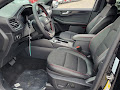 2025 Ford Escape Hybrid ST-Line