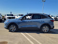 2025 Ford Escape Hybrid ST-Line