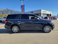 2022 Ford Expedition Platinum